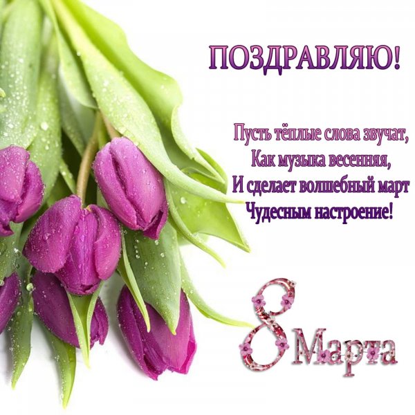 IMG-20230308-WA0012