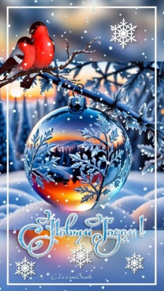 Image by CATRUS (14)