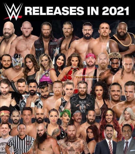 Wwe (467)
