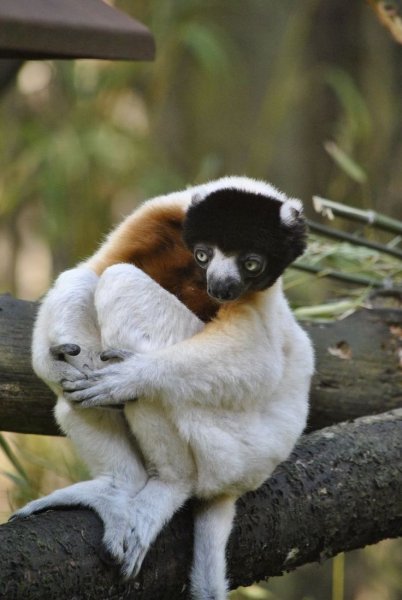 4e8756beffc190f26b7745c7c3d6d12f