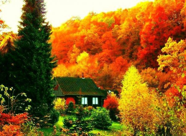 красота природы