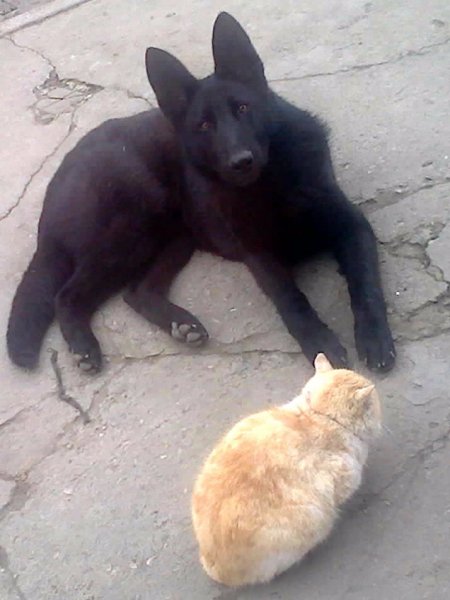 Фото0265 001 001