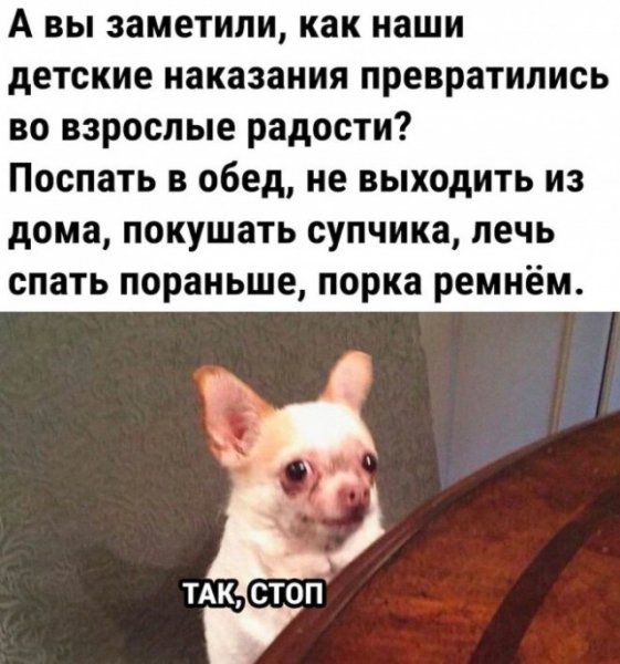 F716e1e2fd 20256829