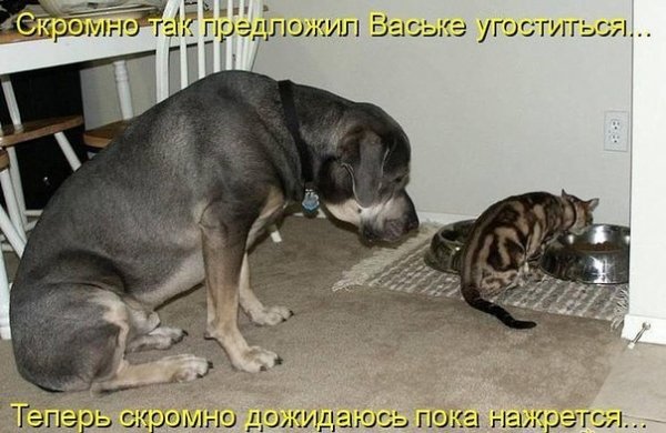 Скромно дожидаюсь...