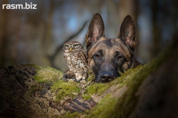 beb7e5b9a3abe0ac1b7c