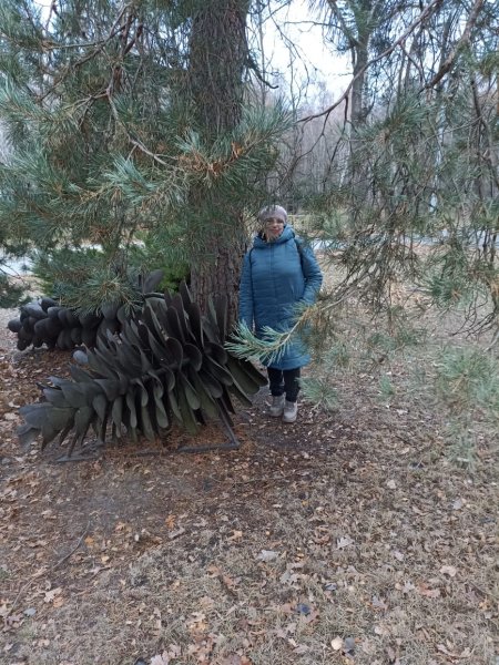 picture_375313752