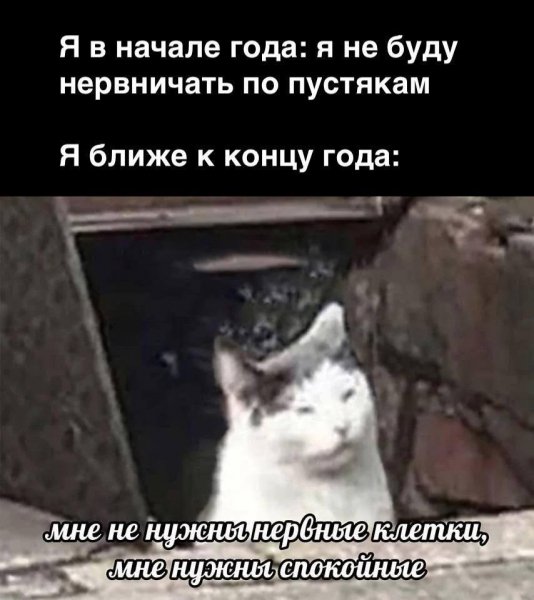 TQZ8V3fb2cg