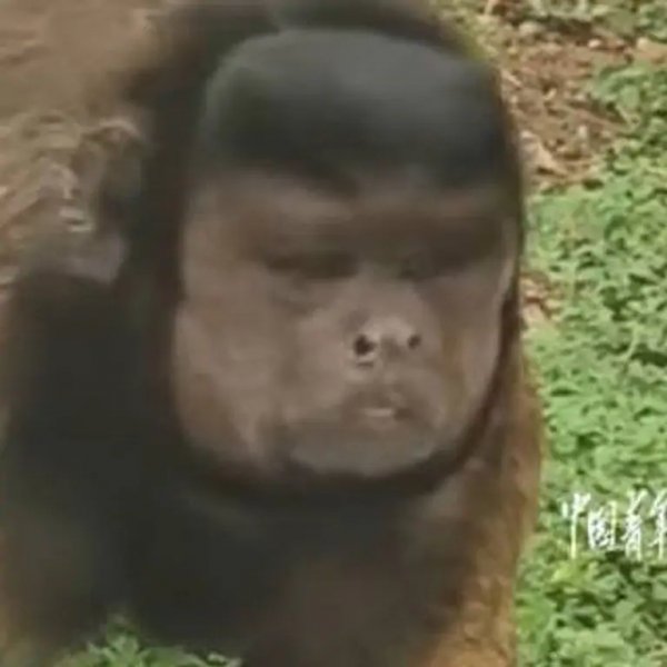 Square 768 webp ea7b79a7dd9c3d8a4d556abb29623922