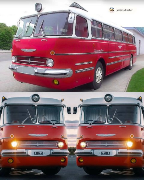 Икарус 55 Люкс