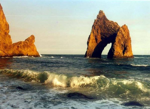 image (4)