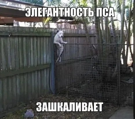 IMG 20220915 165950