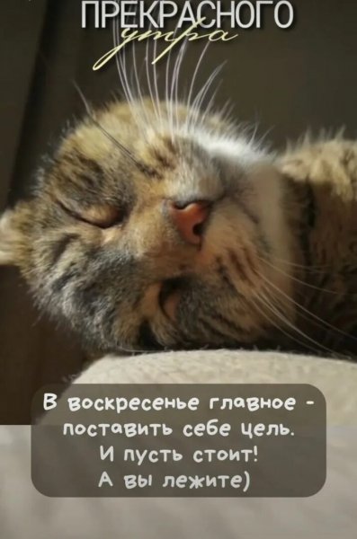 Да! ))