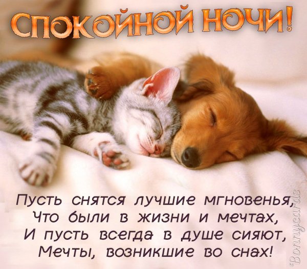 Всем!
