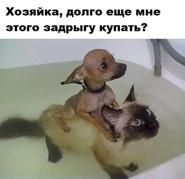 IMG 20211230 012523
