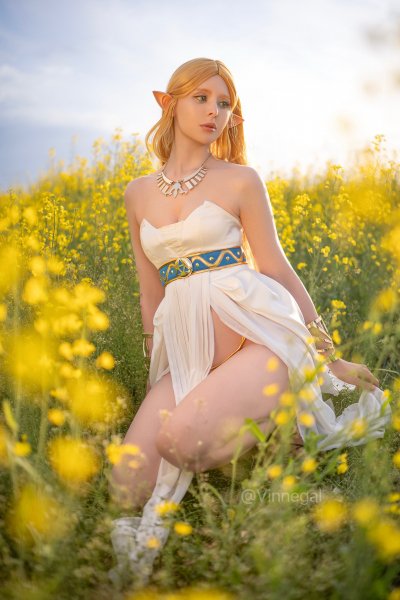 Vinnegal-Princess-Zelda-The-Legend-of-Zelda-9230471