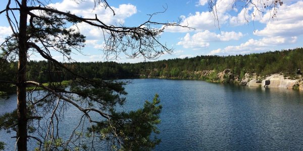 Файлы Лесника