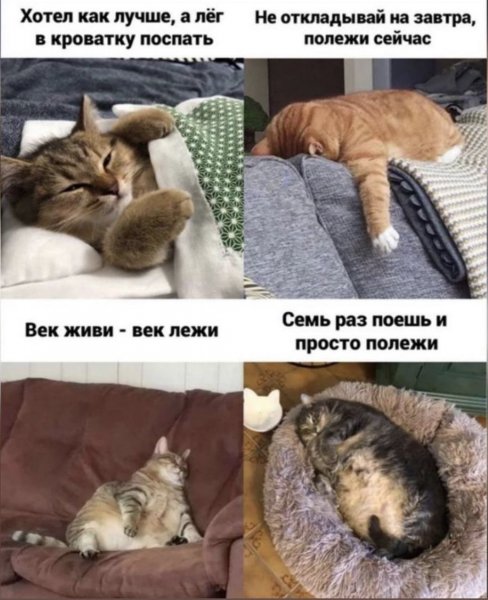Где-то так... )))