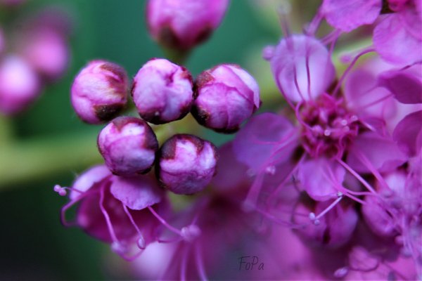 62d15e0c576a4 IMG 6203