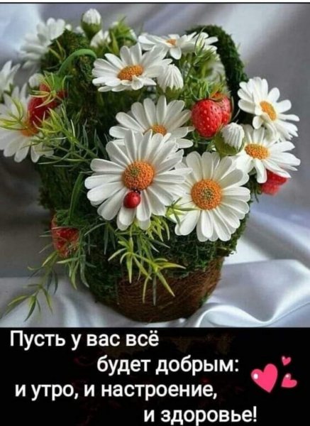 IMG-20210606-WA0000