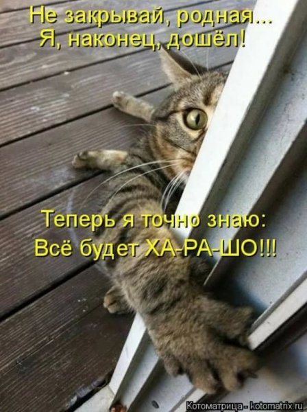 )))))))