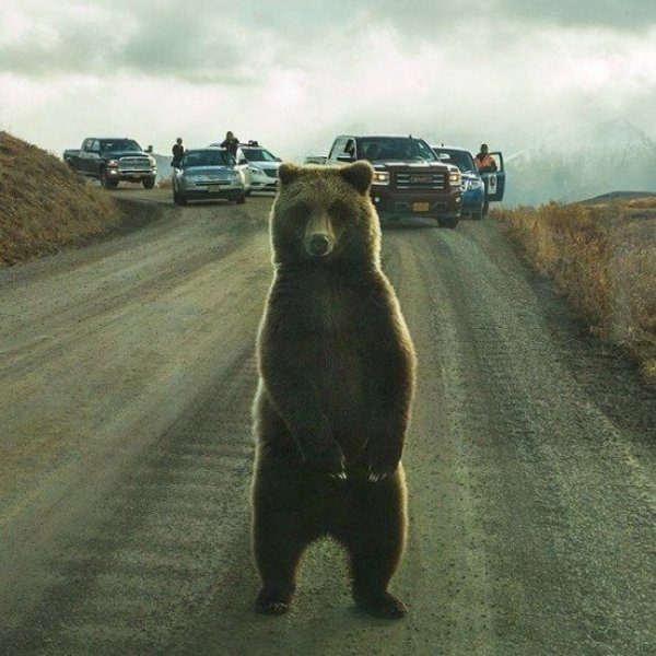 Фото на фоне людей