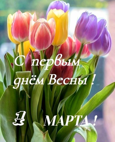 picture_382668959