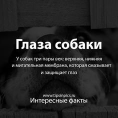 ddfd50e4f3fdc4b6987b23b6d02cb07c