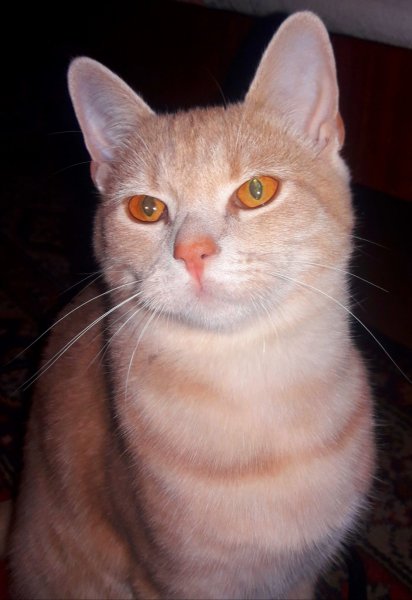 IMG b7af956b4baec705f1b04140147ee1ad V-vps404.strip2.co