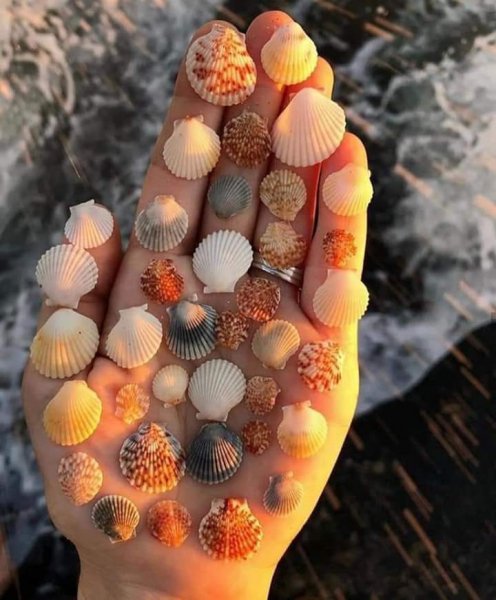 FB IMG 1596572501525