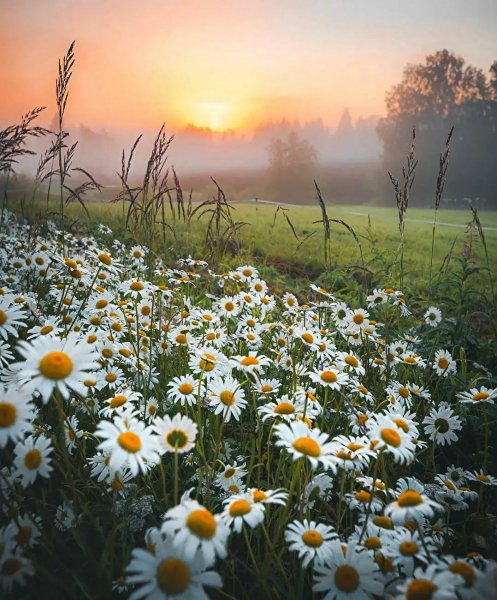 Screenshot 2022-06-06-17-55-21-360