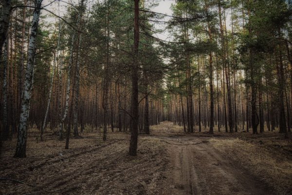 IMG 20260425 214334 034