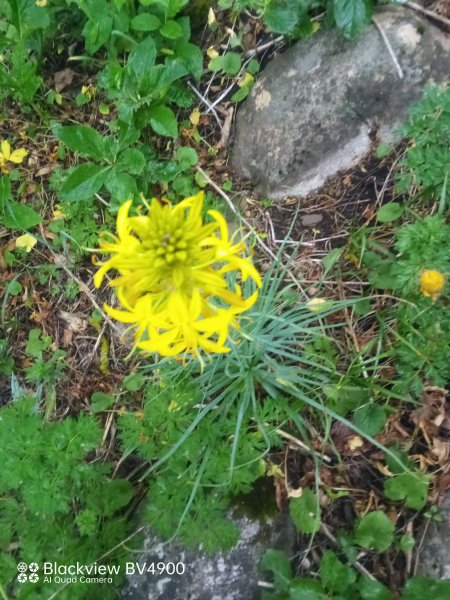 IMG 20240430 133623 147