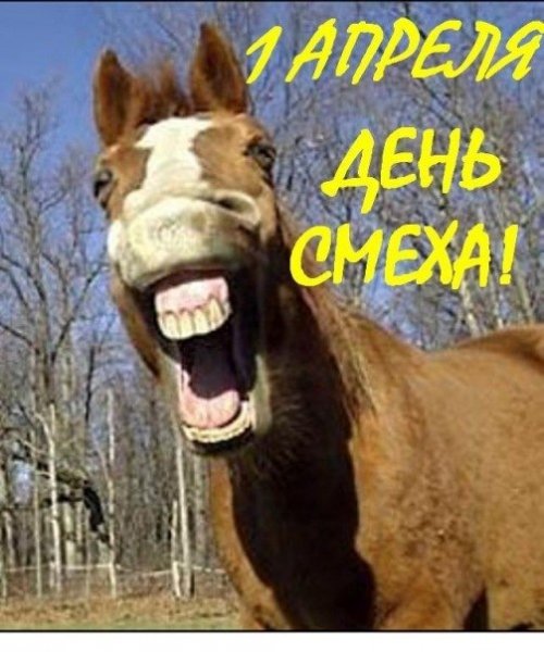 z4Xtsho3PF0