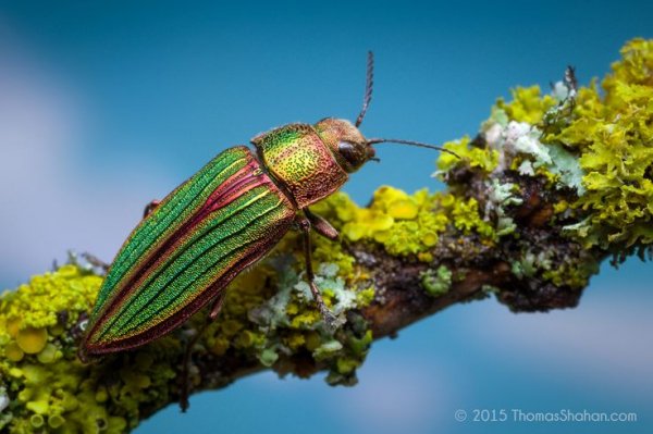 f63f8190866afc5796aa005f567