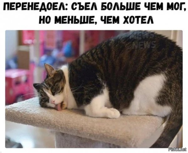 Перенедоел)