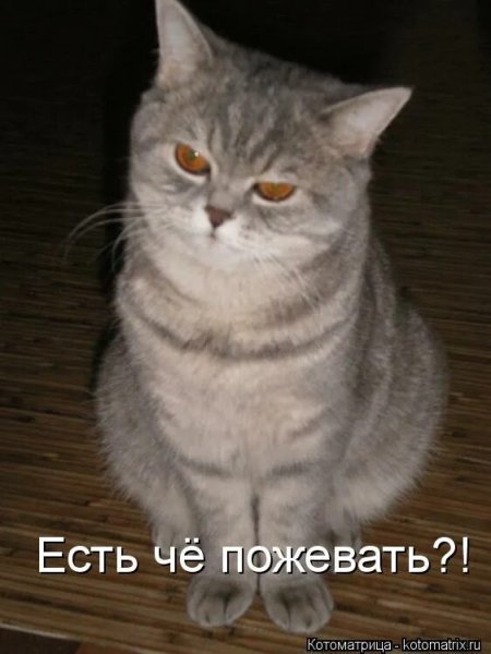 А???!!!