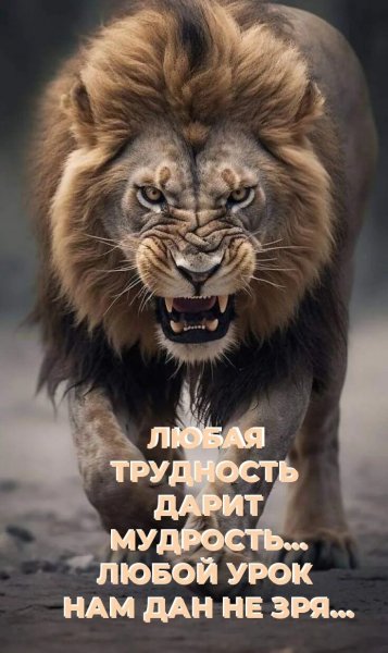 В точку