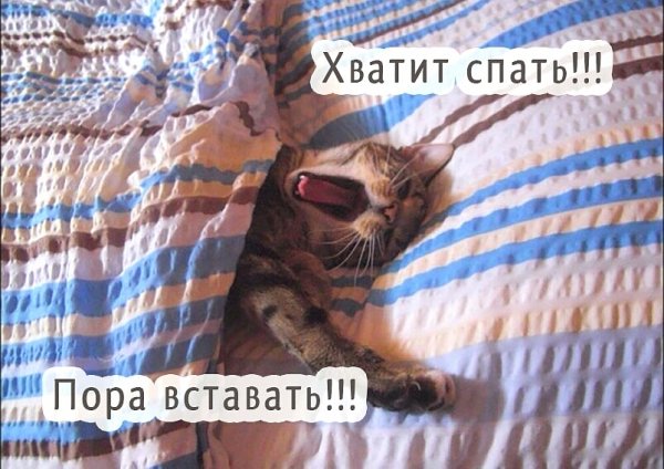 доброе утро 101454