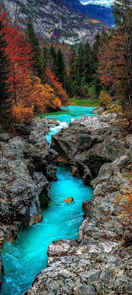 Арт Природа