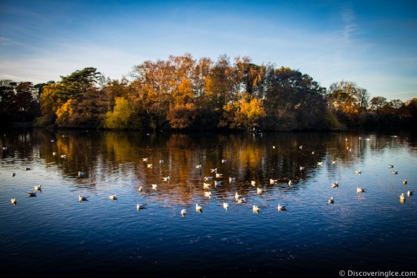The Park In Lincoln England