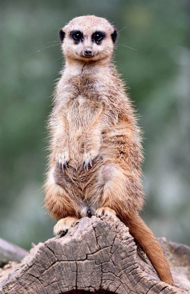 06b8ec1d66080e42cac8626edbd1fd95