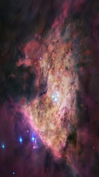 cosmos 0023