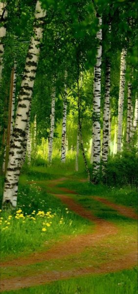 Арт Природа