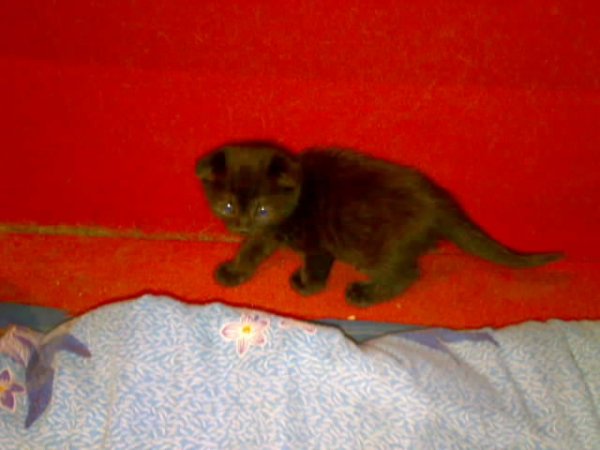 image 0001