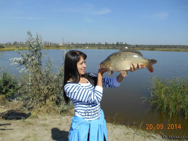 pics