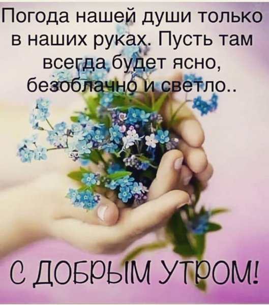 IMG-20210905-WA0002