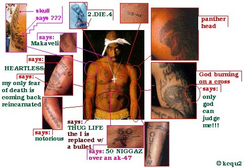 tatu1