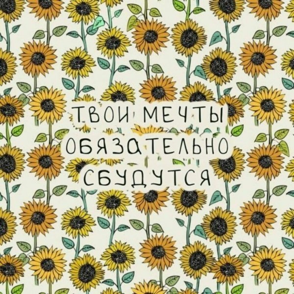 69dee862ecb44741f428dcd2df5e12dd