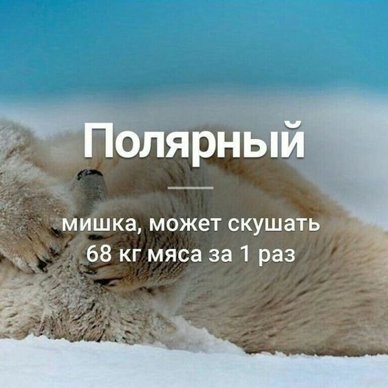 a2df9dbb823fd19c9791f39bc0606