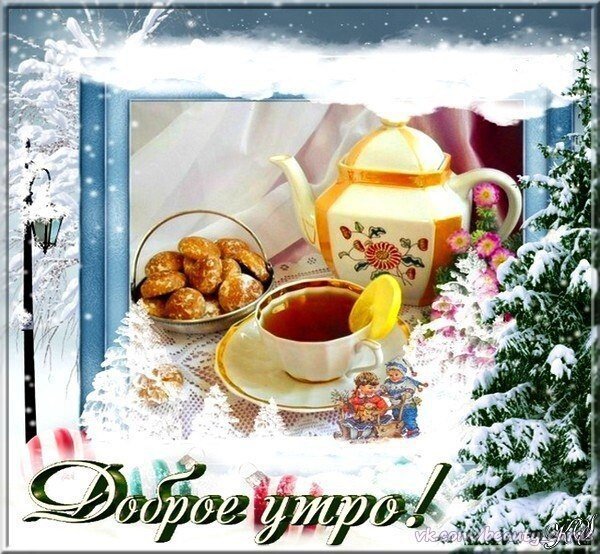 IMG-20220126-WA0005